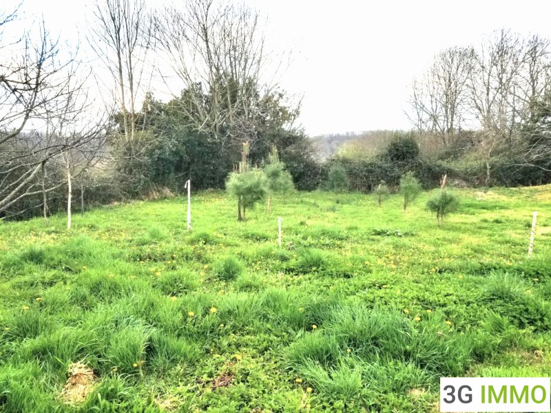 Corps de ferme à Tarbes (65000) - Photo 2