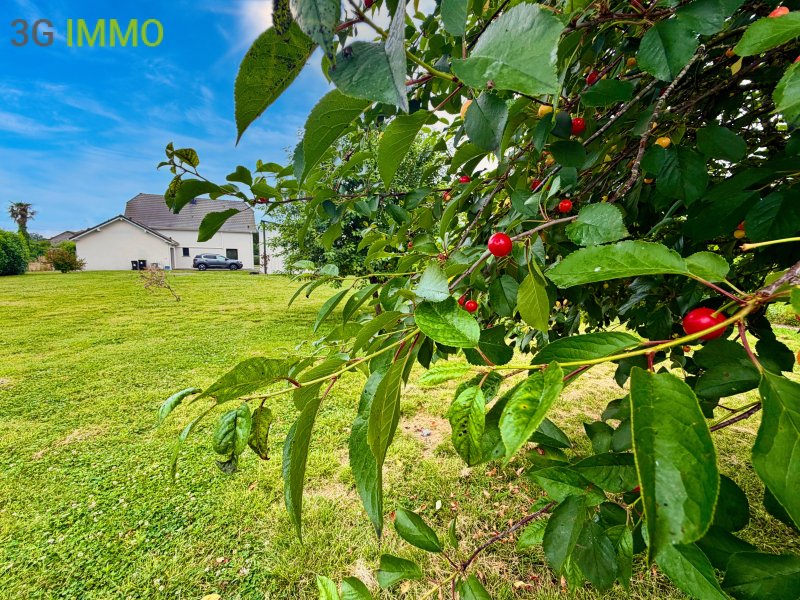 Maison à Sauveterre-de-Béarn (64390) - Photo 2