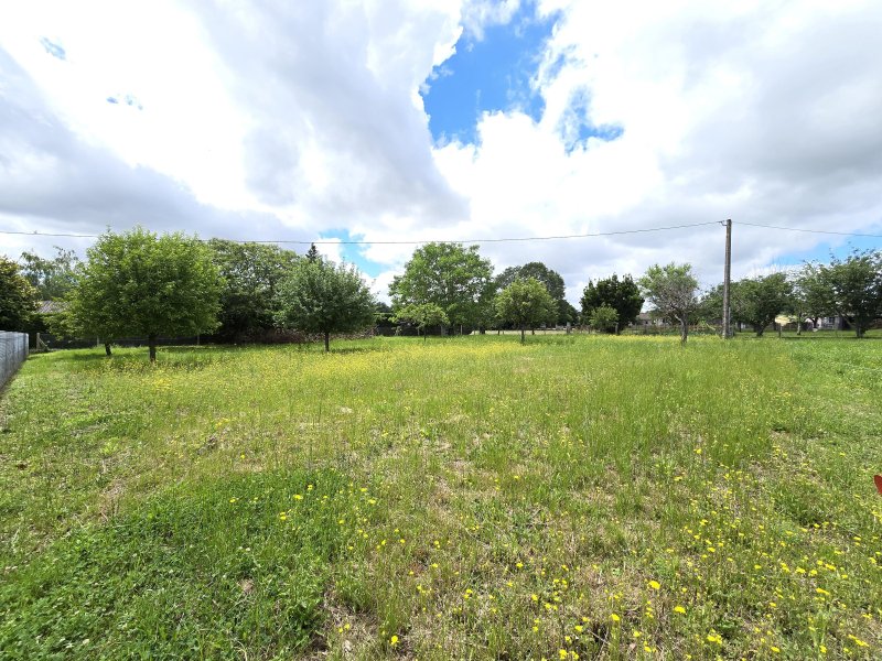 Terrain constructible à Roquecourbe (81210)