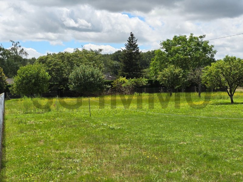 Terrain constructible à Roquecourbe (81210) - Photo 3