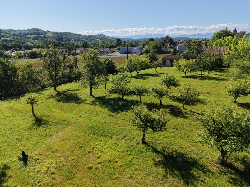 Terrain constructible à Monein (64360)