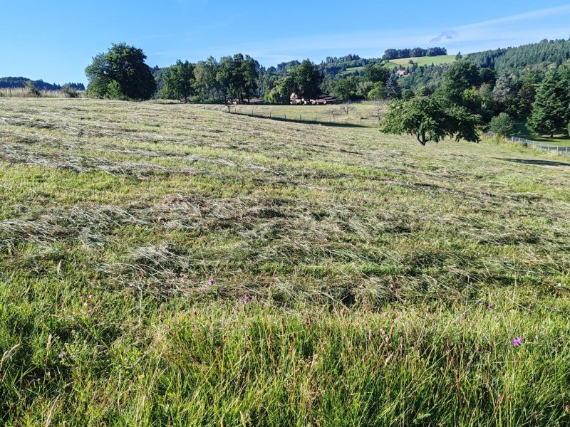 Maison avec dépendance à Olliergues (63880) - Photo 5