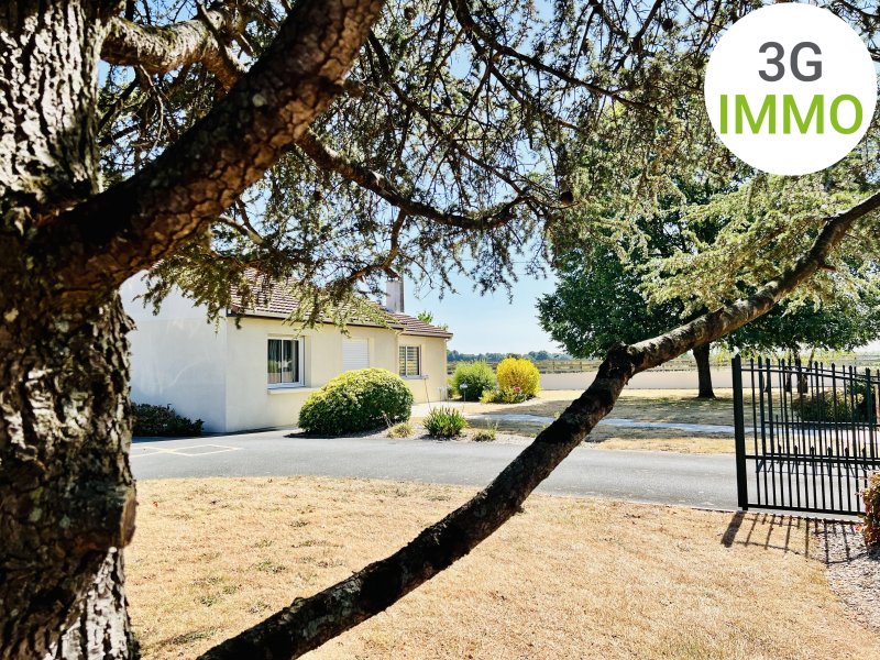 Maison à Cholet (49300) - Photo 2