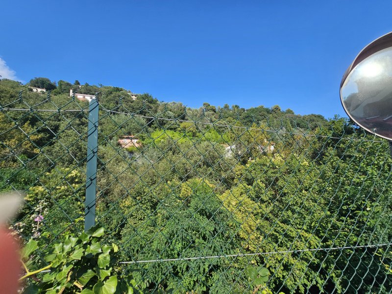 Forêt à Menton (06500) - Photo 3