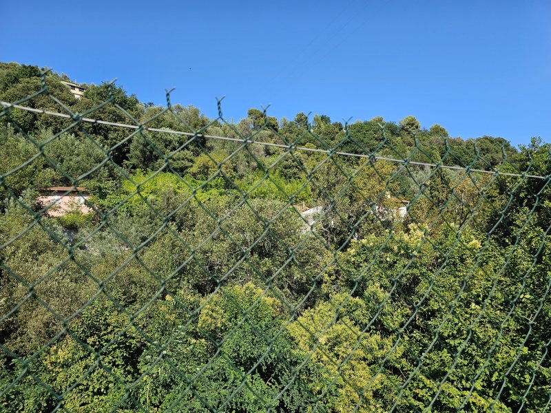 Forêt à Menton (06500) - Photo 4