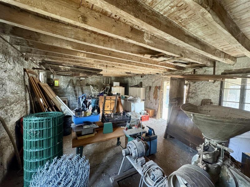 Photo 15
