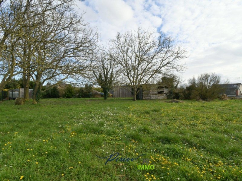 Terrain constructible à Brissac Loire Aubance (49320) - Photo 3
