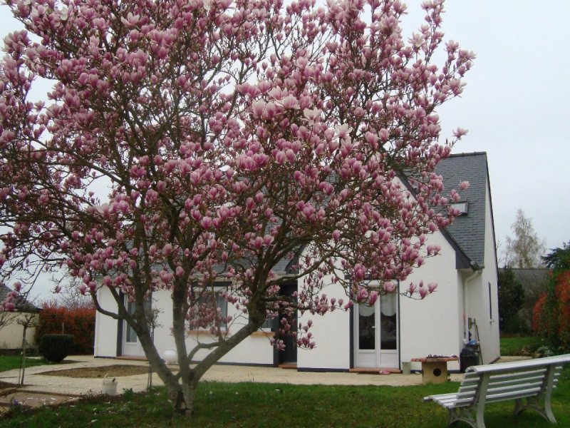 Maison à Sablé-Sur-Sarthe (72300)