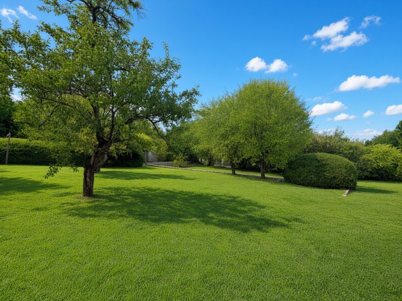 Maison à Saint-Pierre-lès-Nemours (77140) - Photo 2