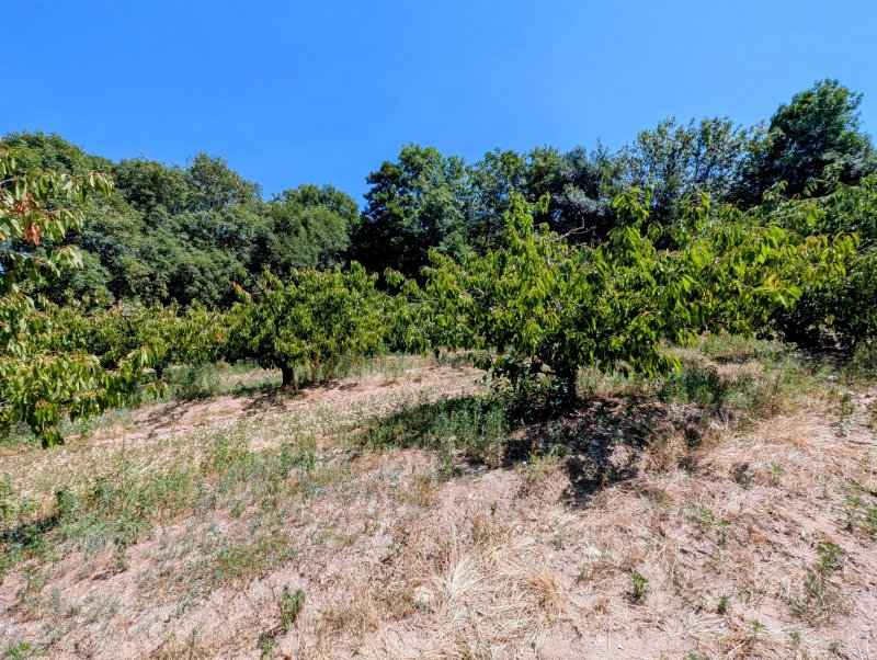 Terrain constructible à Le Crestet (07270)