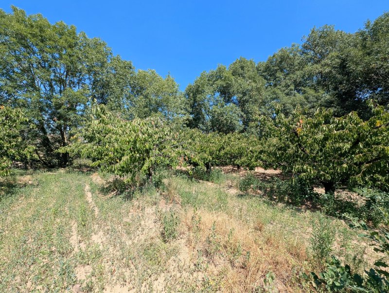 Terrain constructible à Le Crestet (07270) - Photo 2