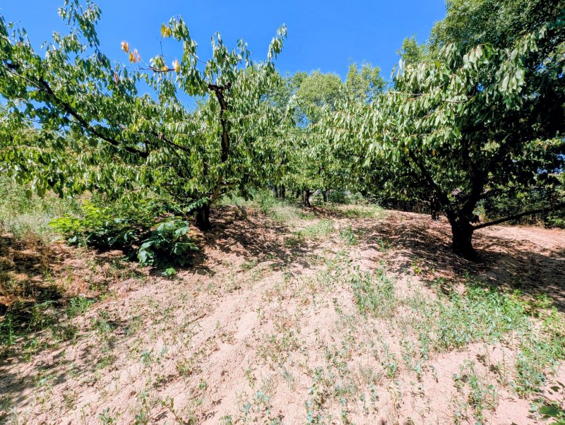 Terrain constructible à Le Crestet (07270) - Photo 3