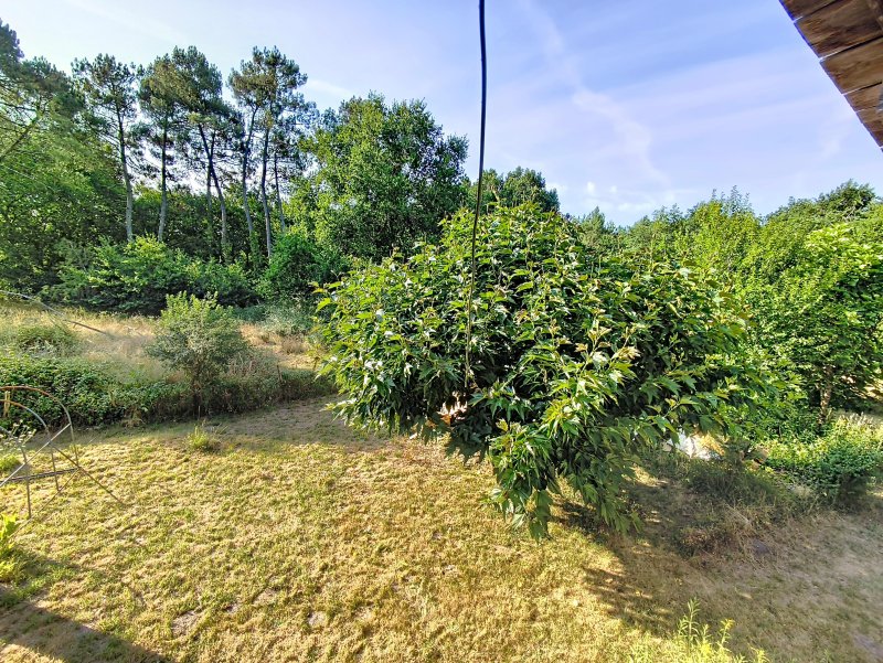 Maison à Préchac (33730) - Photo 5