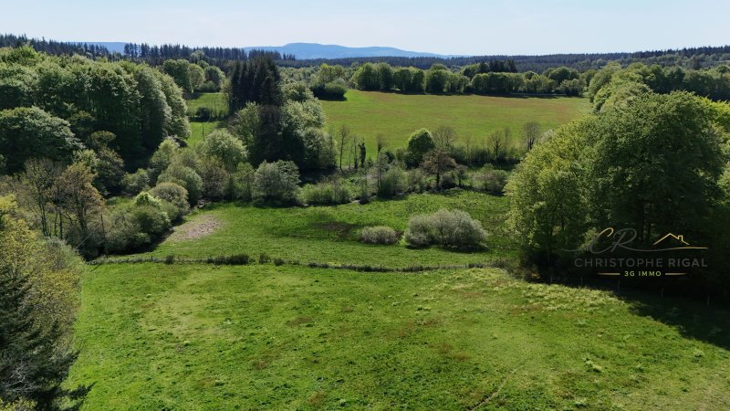 Maison T6+ à Mazamet (81200) - Photo 3
