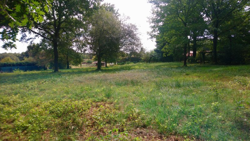 Terrain à Roaillan (33210)