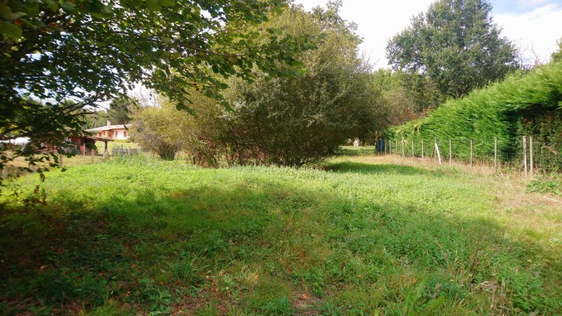 Terrain à Roaillan (33210) - Photo 2