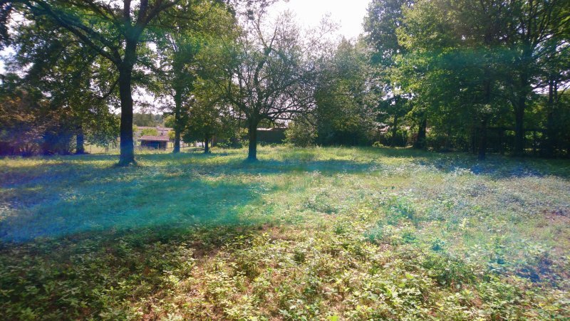 Terrain à Roaillan (33210) - Photo 3