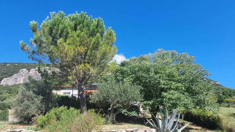 Maison de plain-pied à Seynes (30580) - Photo 3