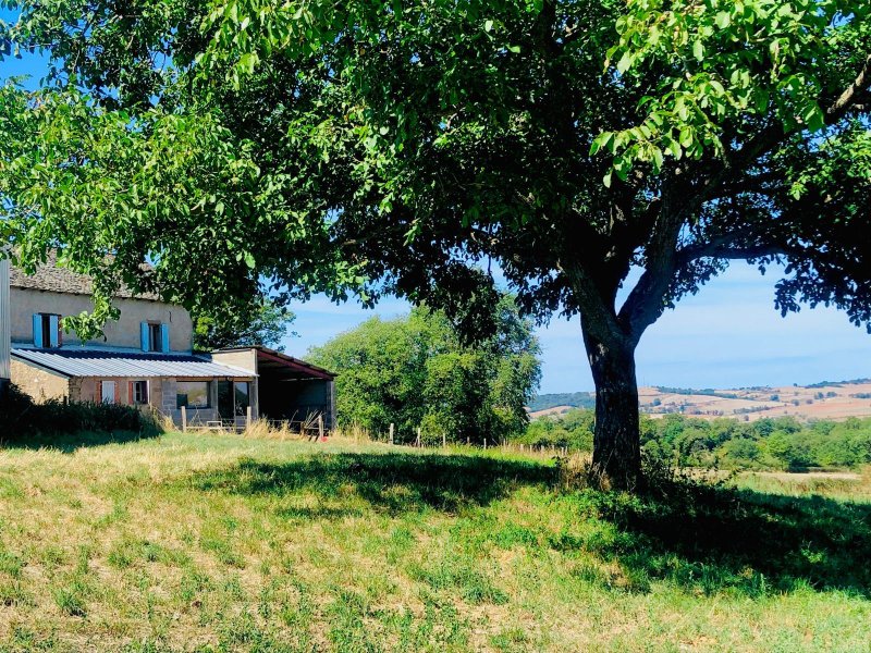 Ferme à Montauriol (81190) - Photo 5