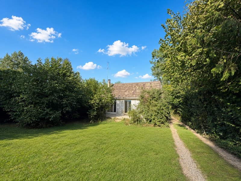 Maison à Saint-Pierre-lès-Nemours (77140)