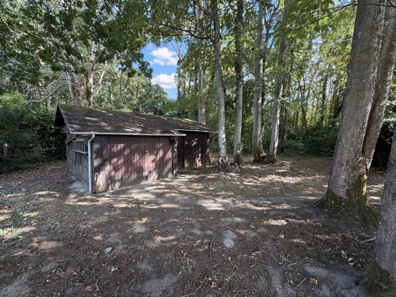 Maison à Villiers-sous-Grez (77760) - Photo 5