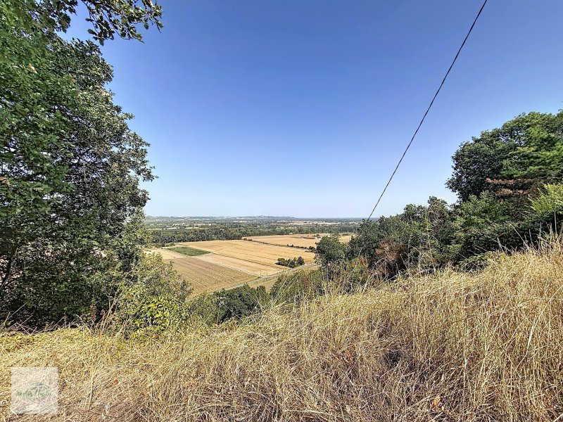 Maison avec dépendance à Auvillar (82340) - Photo 4