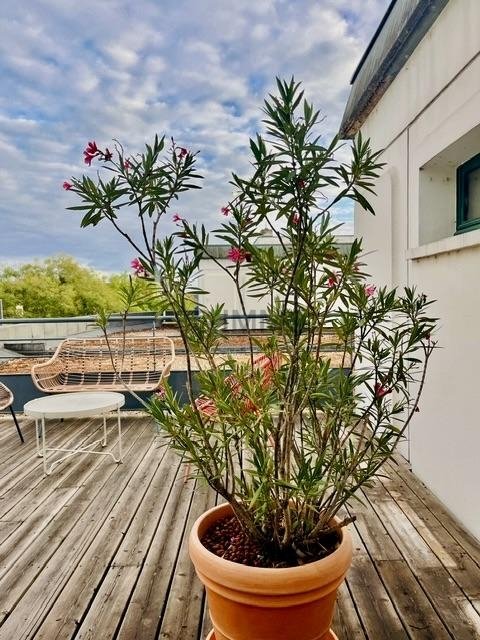 Appartement T3 à Tours (37000)