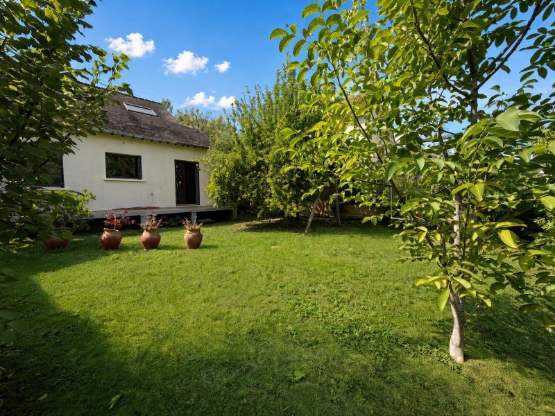 Maison à Saint-Pierre-lès-Nemours (77140) - Photo 2