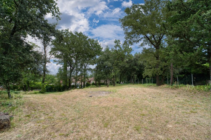 Terrain constructible à Piolenc (84420) - Photo 3