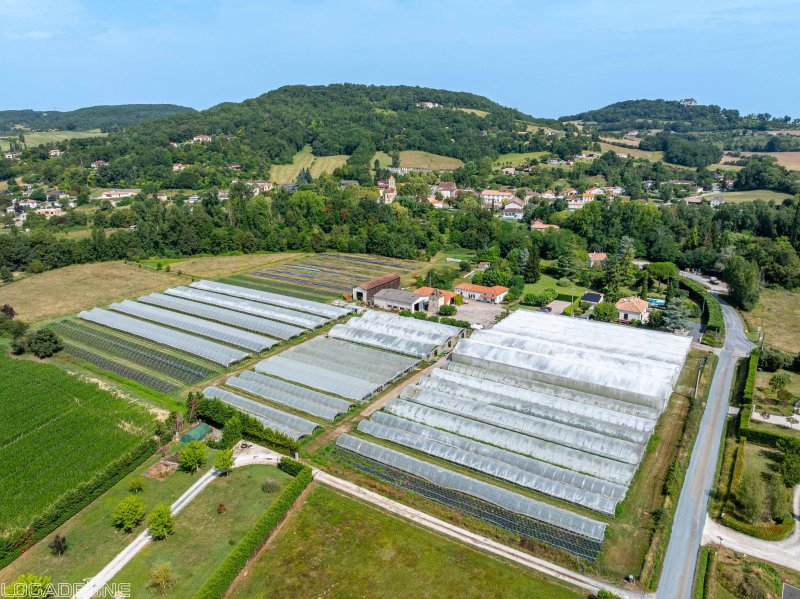 Local activité à Dausse (47140)