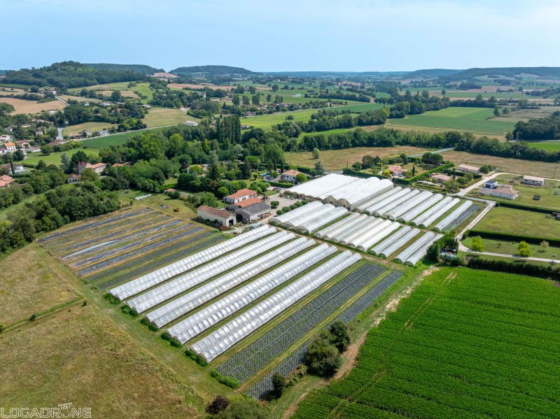 Local activité à Dausse (47140) - Photo 2
