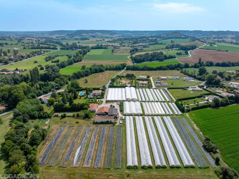 Local activité à Dausse (47140) - Photo 3