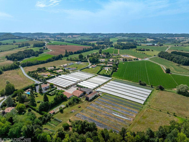 Local activité à Dausse (47140) - Photo 4