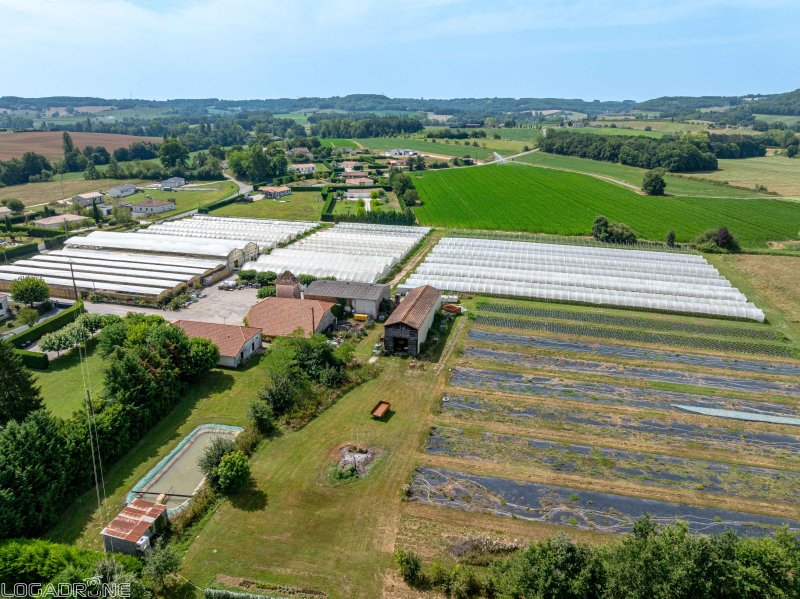 Local activité à Dausse (47140) - Photo 5