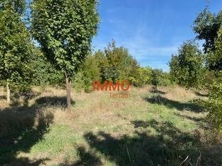 Terrain constructible à Uzès (30700)