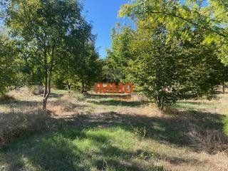 Terrain constructible à Uzès (30700) - Photo 5