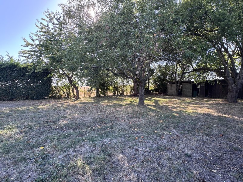 Maison de plain-pied à Vallery (89150) - Photo 5