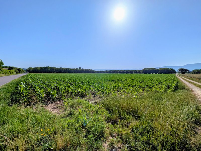 Terrain agricole à Châtillon-Saint-Jean (26750) - Photo 3