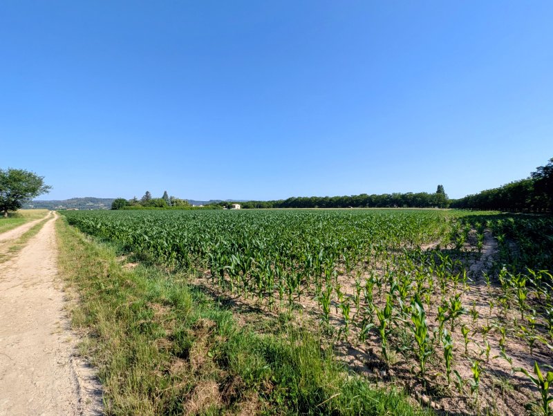 Terrain agricole à Châtillon-Saint-Jean (26750)