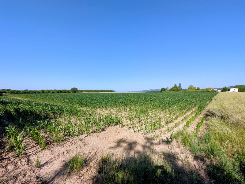 Terrain agricole à Châtillon-Saint-Jean (26750) - Photo 2