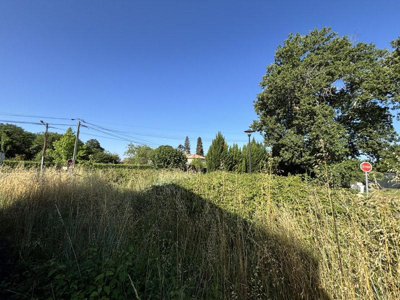 Maison à Noaillan (33730) - Photo 4