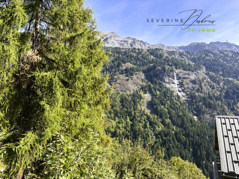 Appartement T2 à Vaujany (38114)