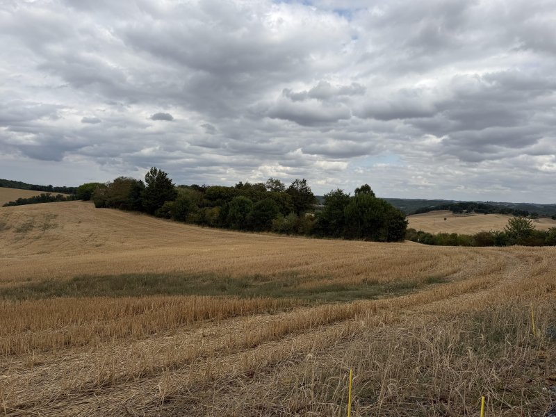 Terrain constructible à Labéjan (32300) - Photo 3