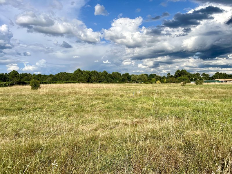 Terrain constructible à Bazas (33430) - Photo 4