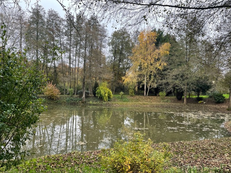 Terrain à Sablé-Sur-Sarthe (72300)
