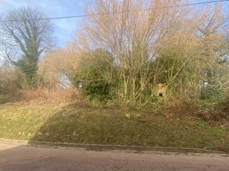 Terrain à Le Plessis-Dorin (41170)
