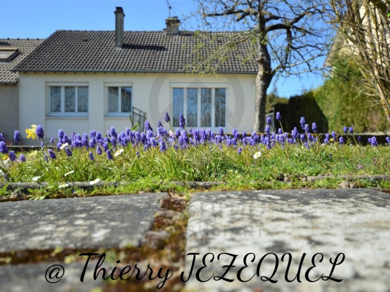 Maison à Limay (78520)