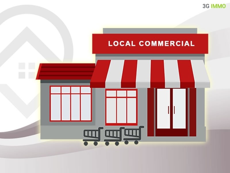 Local Commercial à Issou (78440)