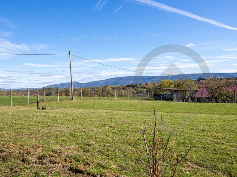 Terrain à Saint-Étienne-Du-Bois (01370)