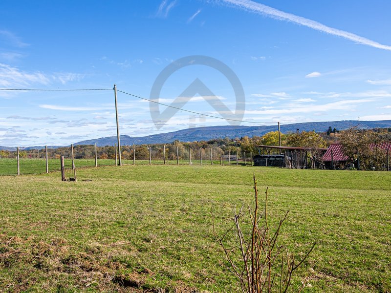 Terrain à Saint-Étienne-Du-Bois (01370)